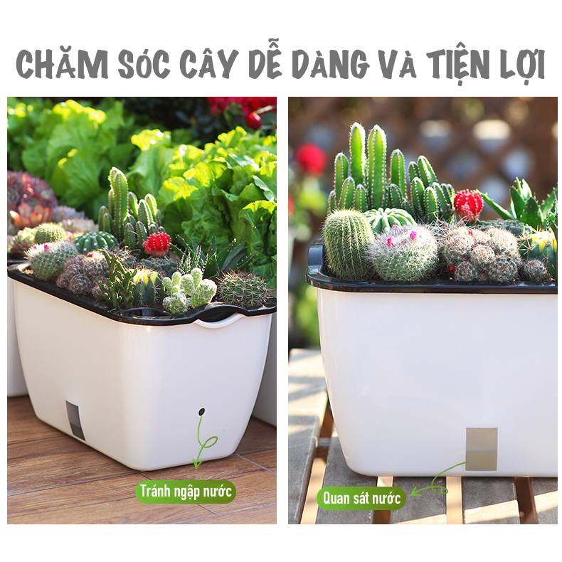 Chậu trồng rau SC0. Chậu trồng rau thông minh tự dưỡng, chậu nhựa trồng cây, chậu trồng hoa