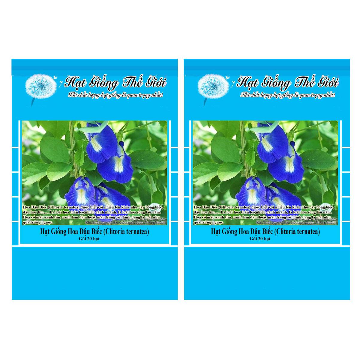 Bộ 2 Gói Hạt Giống Hoa Đậu Biếc 20h