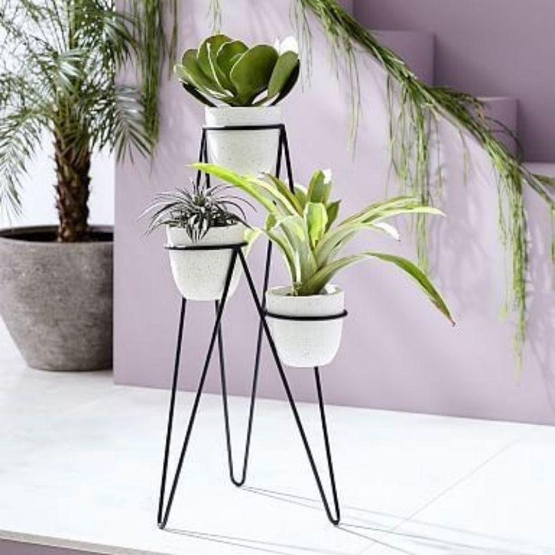Kệ để cây cảnh ba tầng siêu cool và gọn gàng
