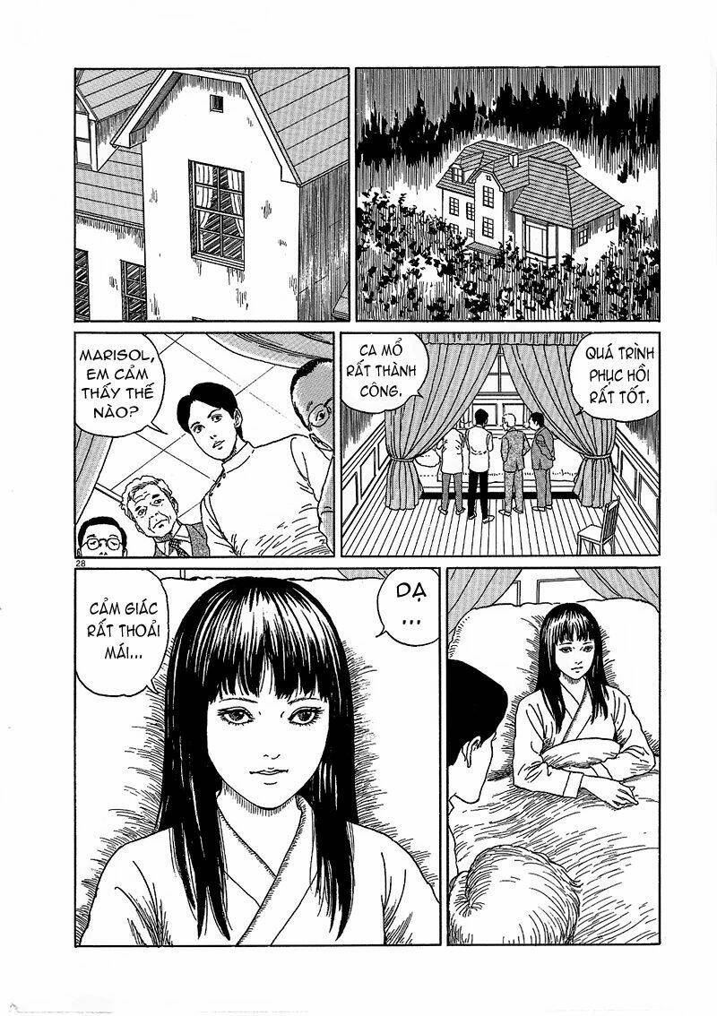 black paradox chapter 6 29