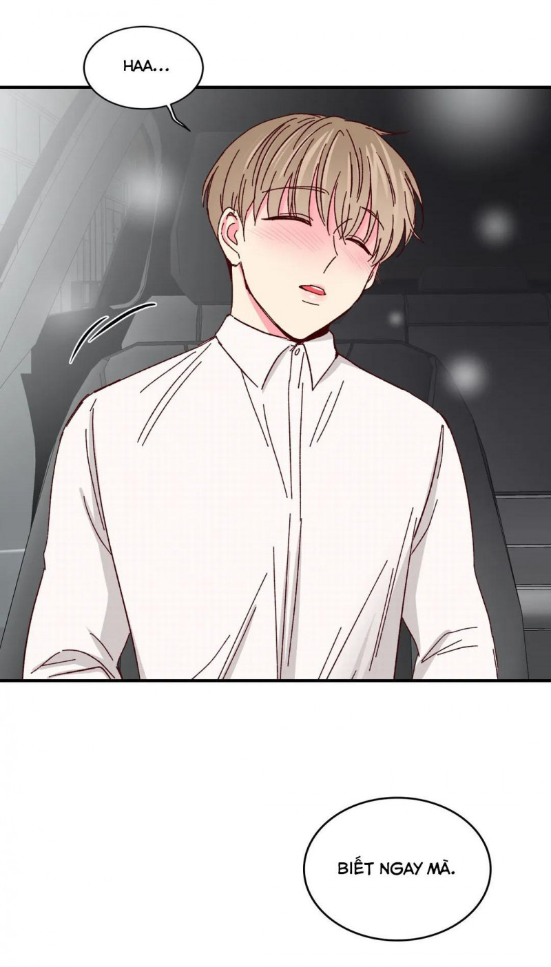 món tráng miệng của sếp tổng chapter 52 24