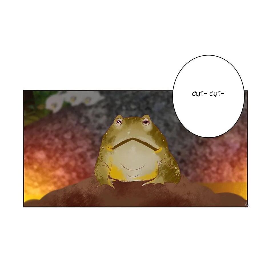 thông linh phi chapter 626 15