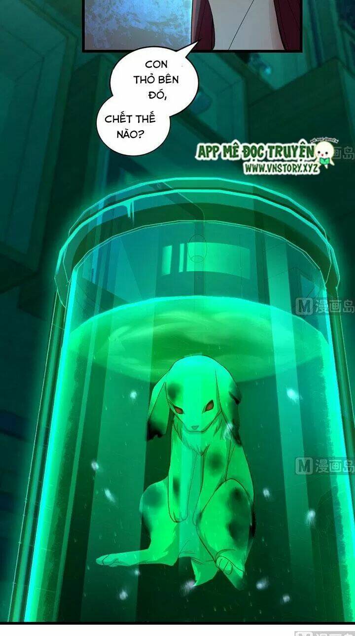 thiên hậu trở về chapter 165 5