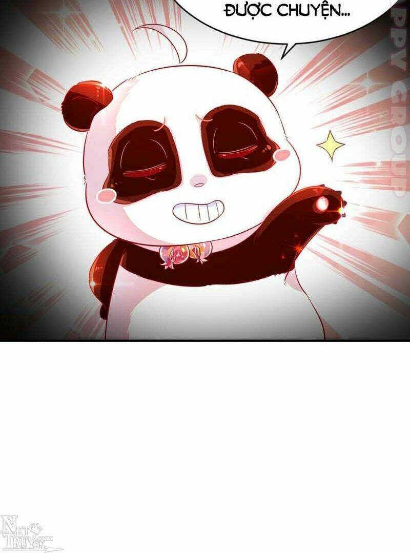 thiên thần gấu trúc muốn được ôm chapter 56 16
