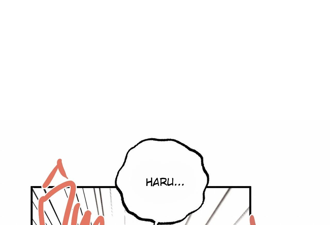 những chú thỏ của hapypy chapter 65 89