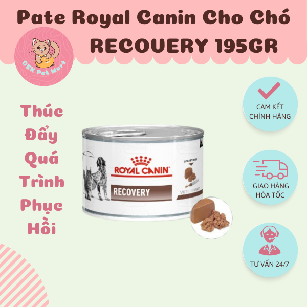 Royal Canin Recovery - Thúc Đẩy Quá Trình Phục Hồi Ở Chó Mèo