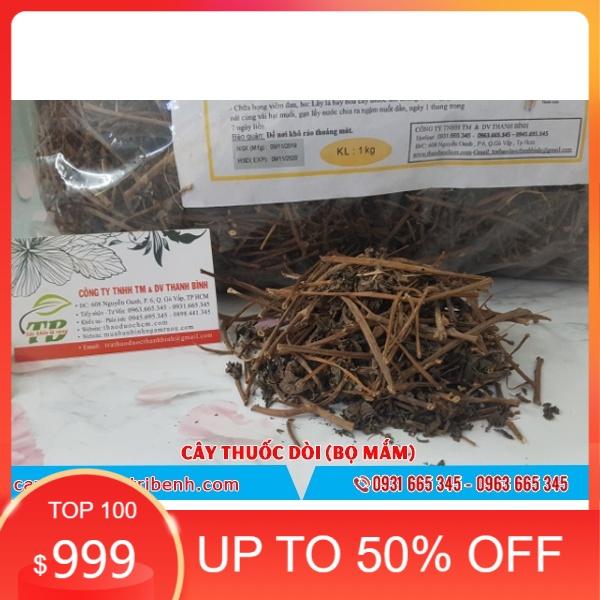 Cây Thuoc Dòi Khô  Tía 981SP PV