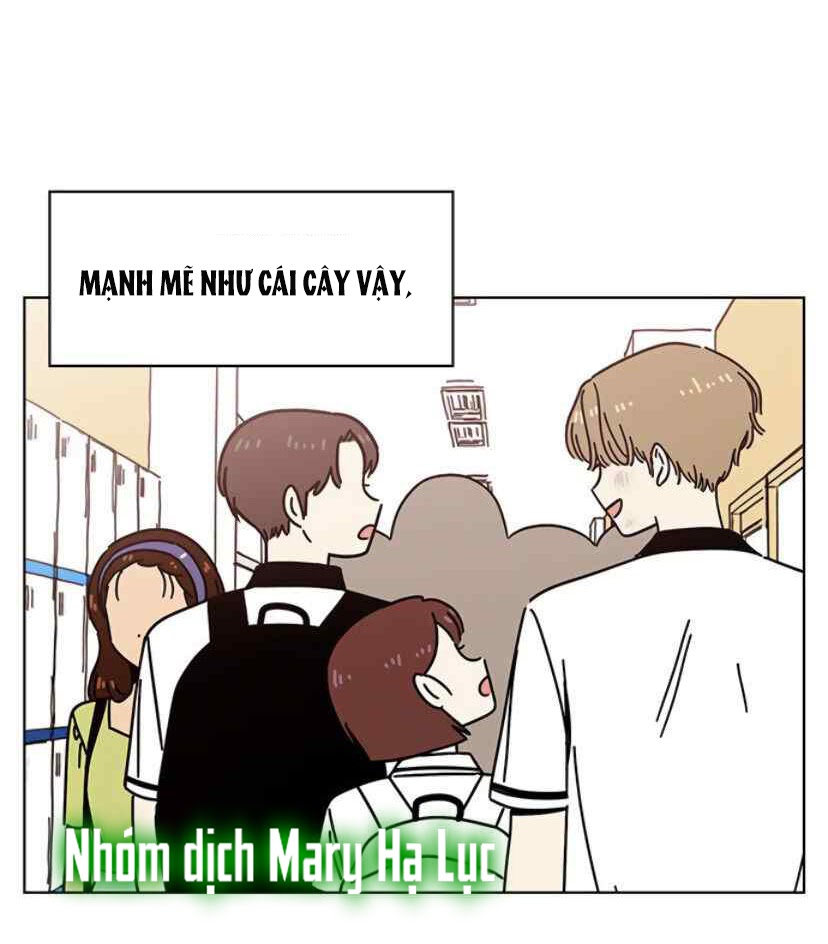 thanh xuân rực rỡ - season of blossom chapter 57 42