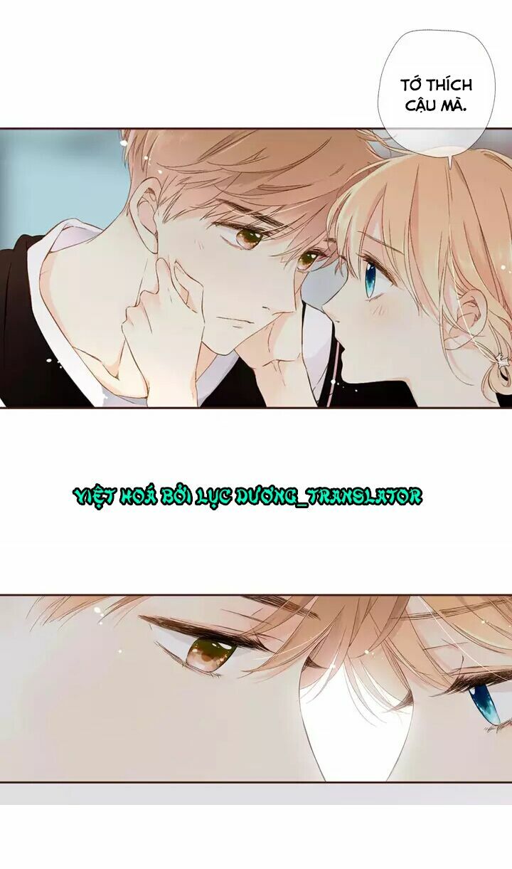 Tình yêu là màu hoa anh thảo chapter 30.1 10