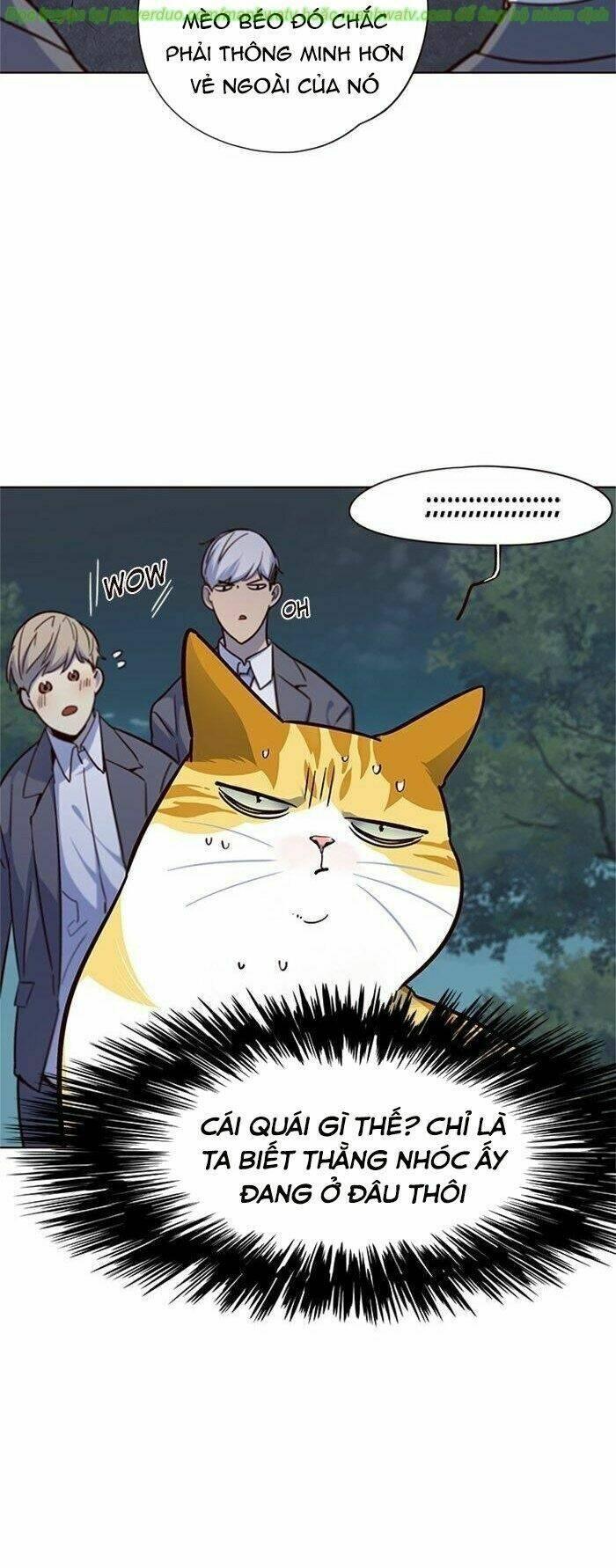 biến thân thành mèo chapter 41 38