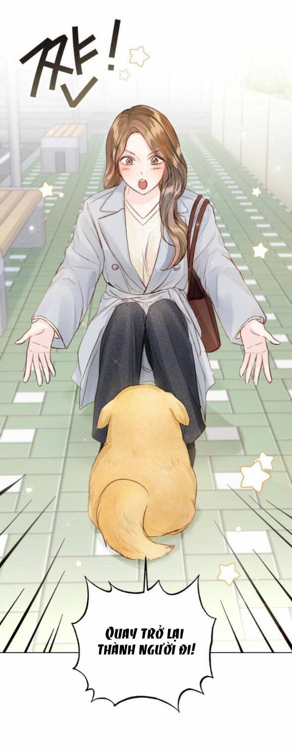 nhất định chúng ta sẽ được hạnh phúc chapter 79.1 9