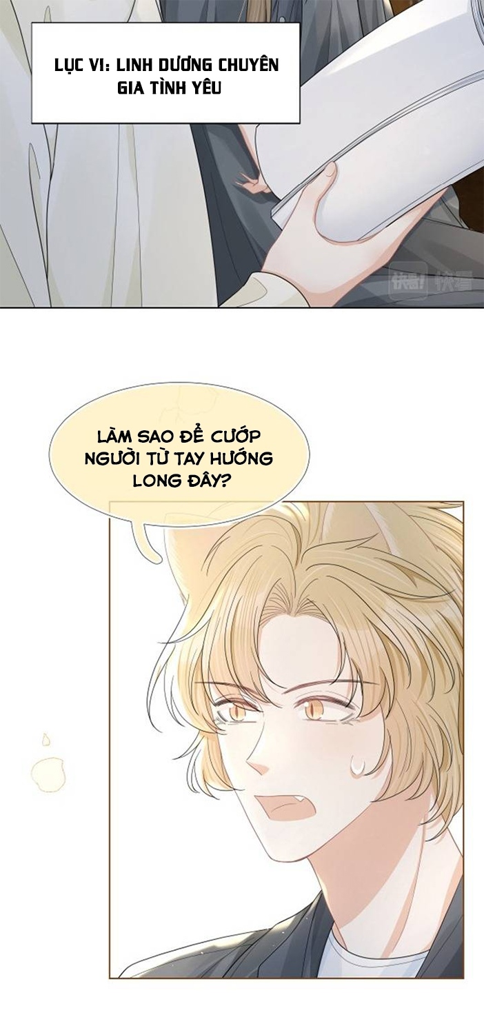 ăn một bé thỏ chapter 84 3
