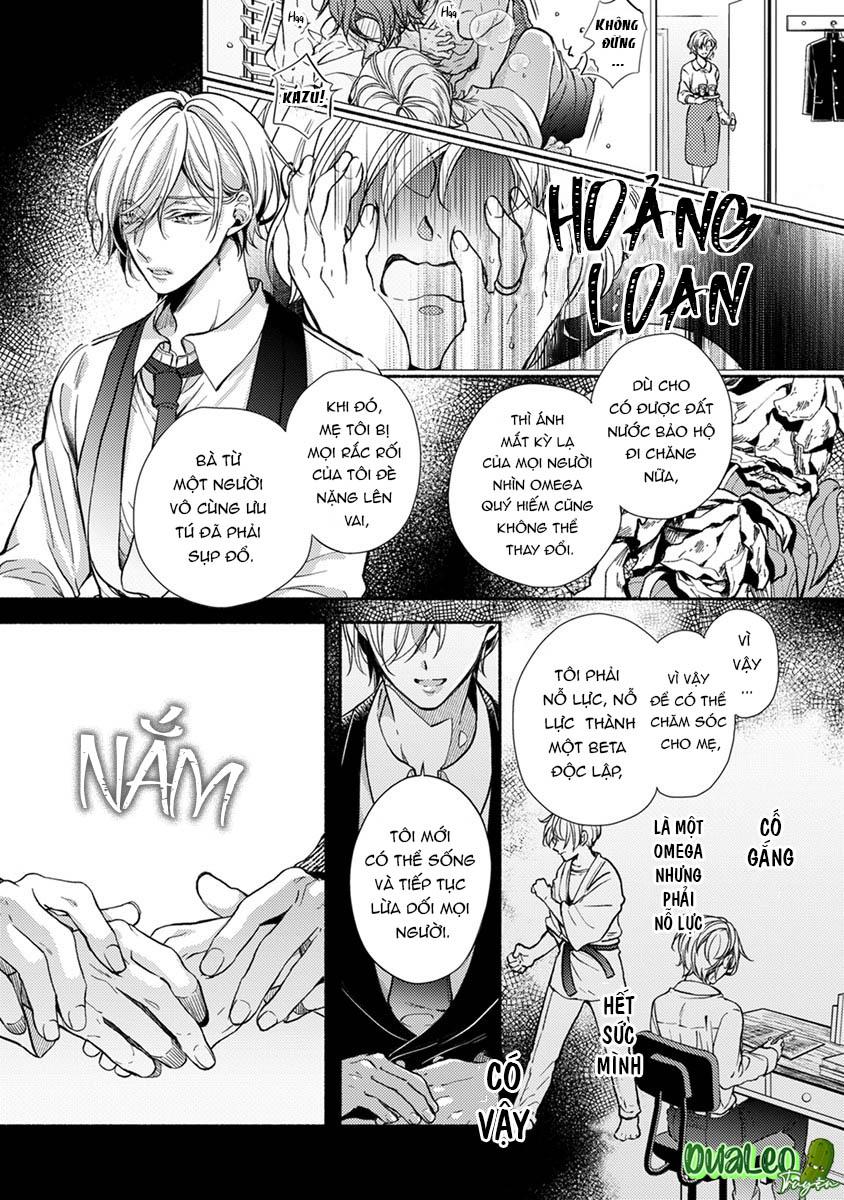 omega giả vờ kiên cường đó là bạn tình của tôi chapter 1 41