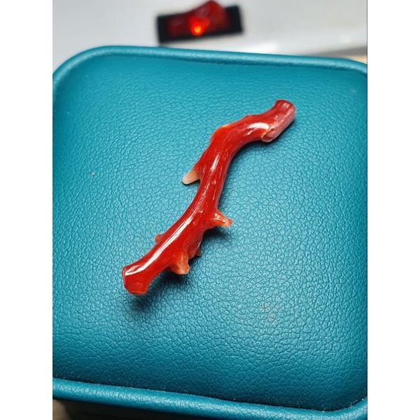 110- L Nhánh San Hô Đỏ (THIÊN NHIÊN)