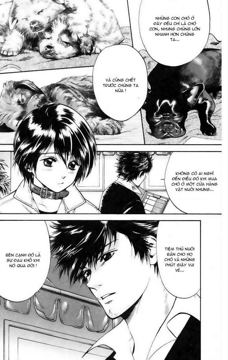 cô nàng yêu chó chapter 7 8