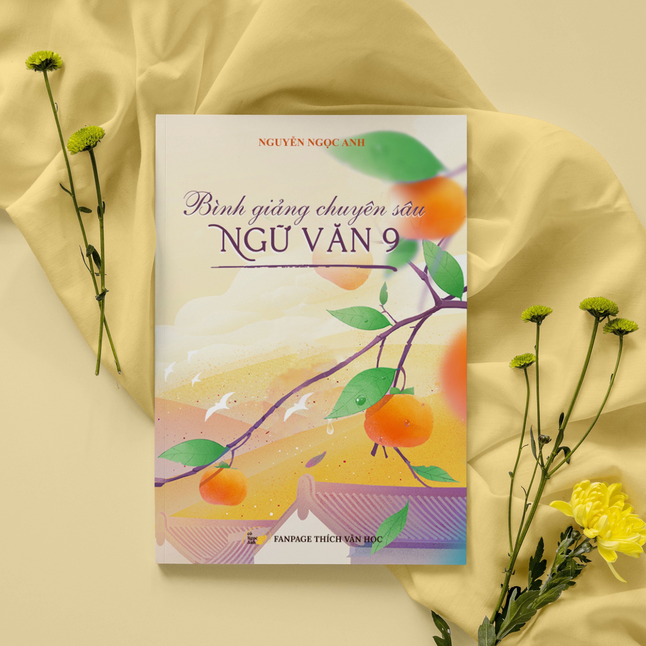 Bình Giảng Chuyên Sâu Ngữ Văn 9