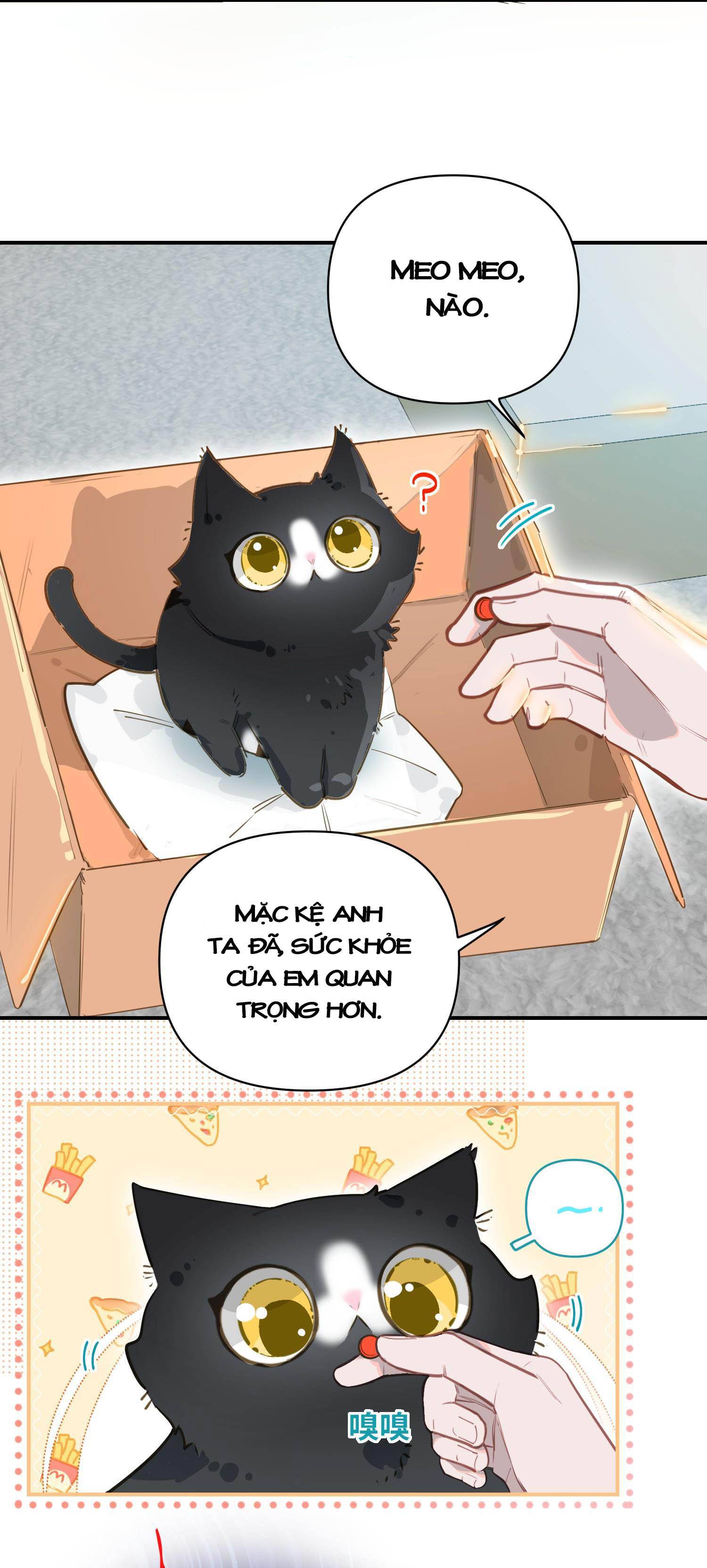 tôi là một tên điên chapter 8 19