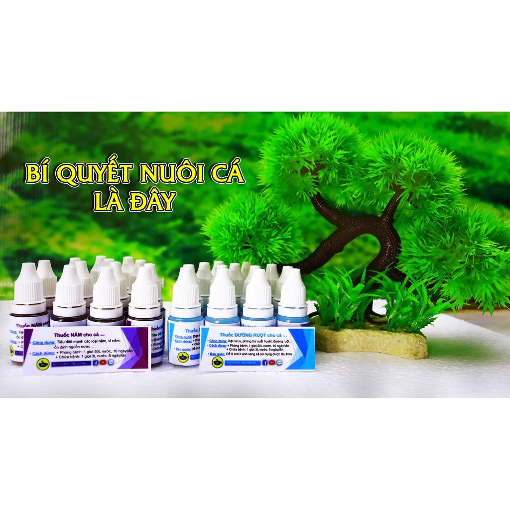 Bộ 4 Bio Nock - Nuôi Cá Cực Khoẻ - Cá Thật Vui Vẻ ️️