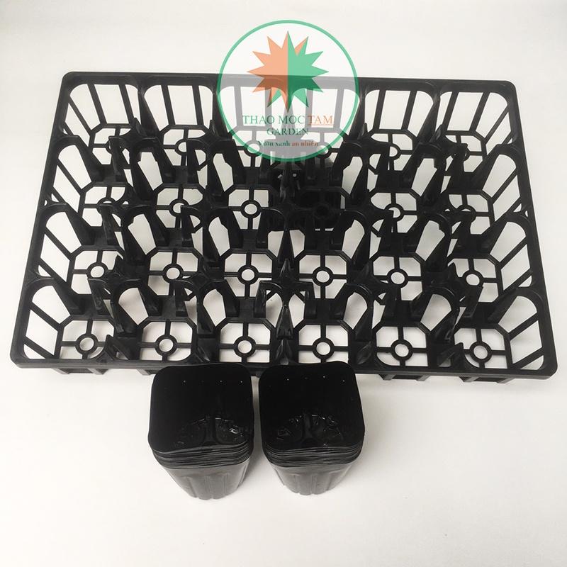 Bộ 10 Khay 24 lỗ 9.0 chuẩn Nhật - Khay ươm cây con, cây giống làm vườn