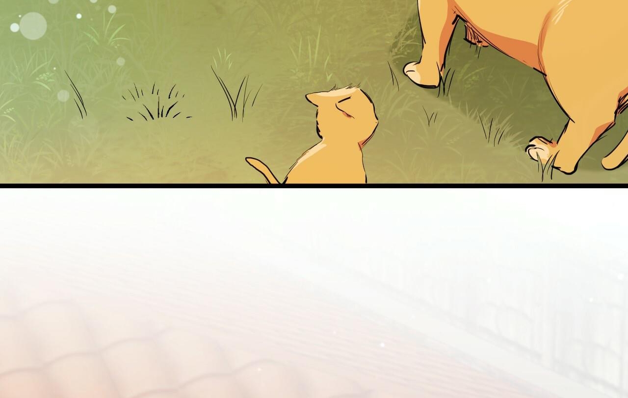 đàn thỏ của habibi chapter 32 58