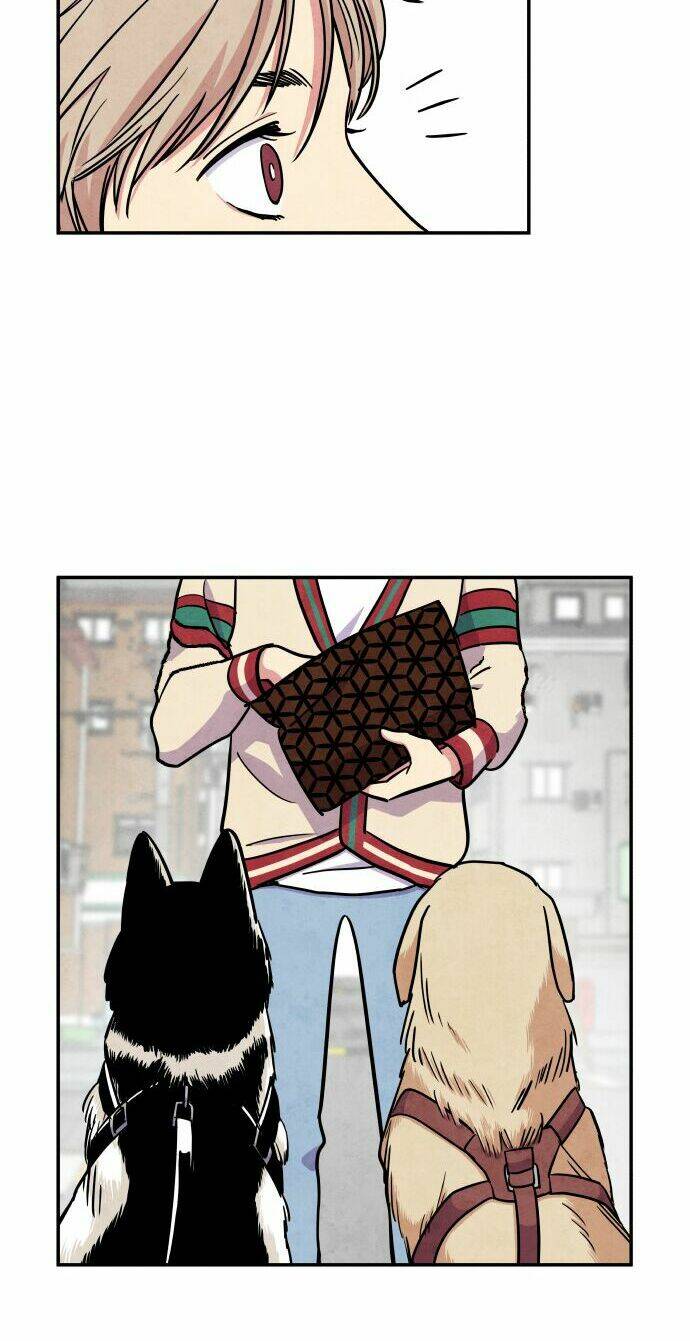 tai sói và mũ đỏ chapter 28 34