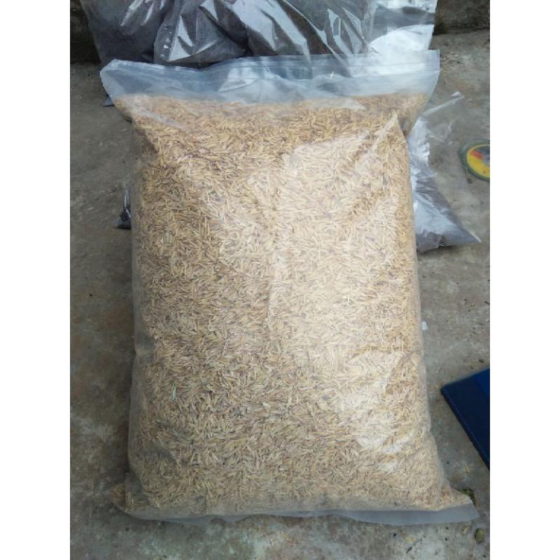 1kg vỏ trấu tươi trộn đất trồng cây, rau- lót chuồng trại