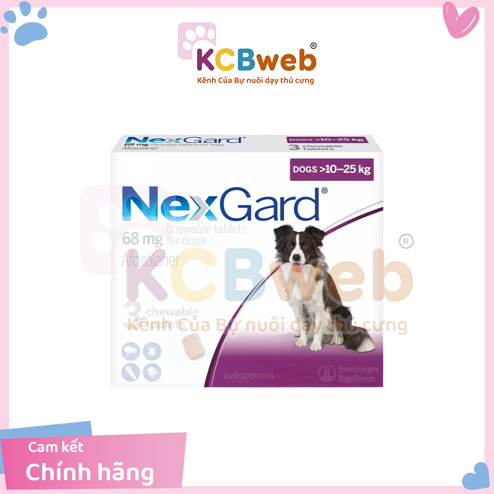 Viên NEXGARD ve, bọ nhảy, bọ chét cho thú cưng