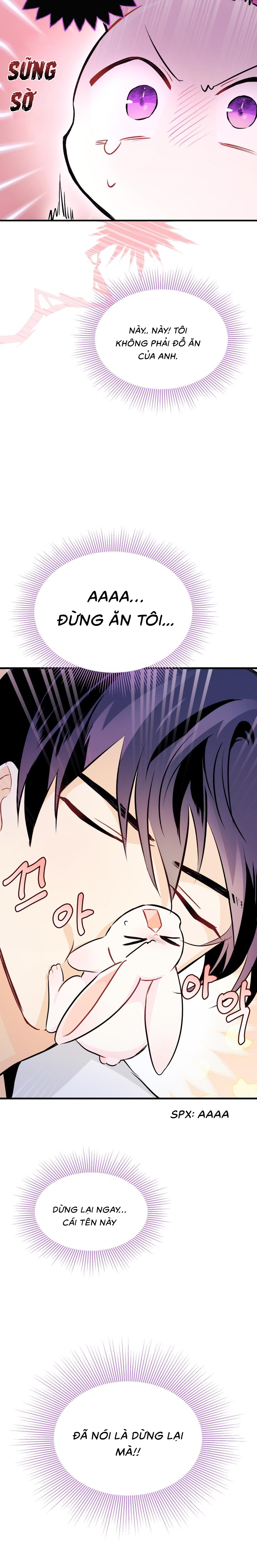 mối liên kết giữa báo đen và bé thỏ chapter 16 16