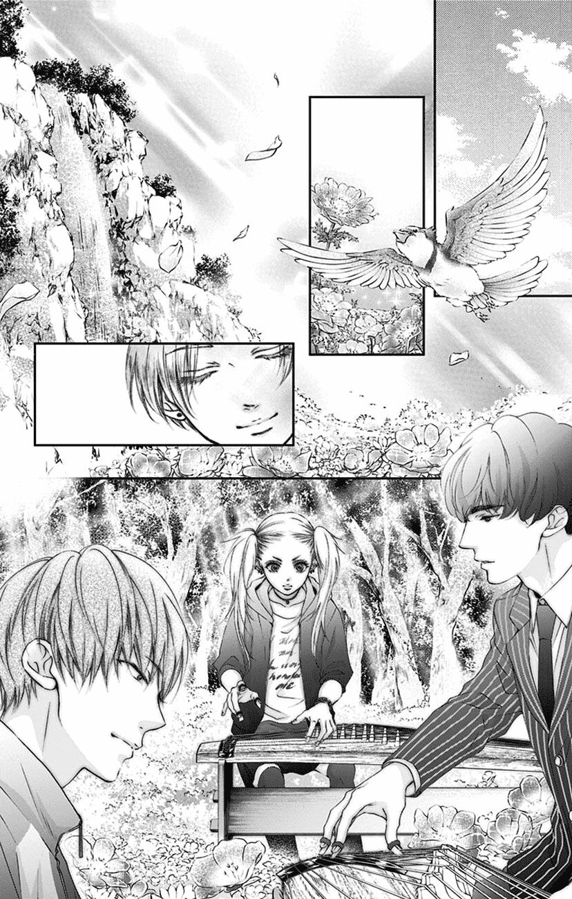 kono oto tomare! chapter 75 33