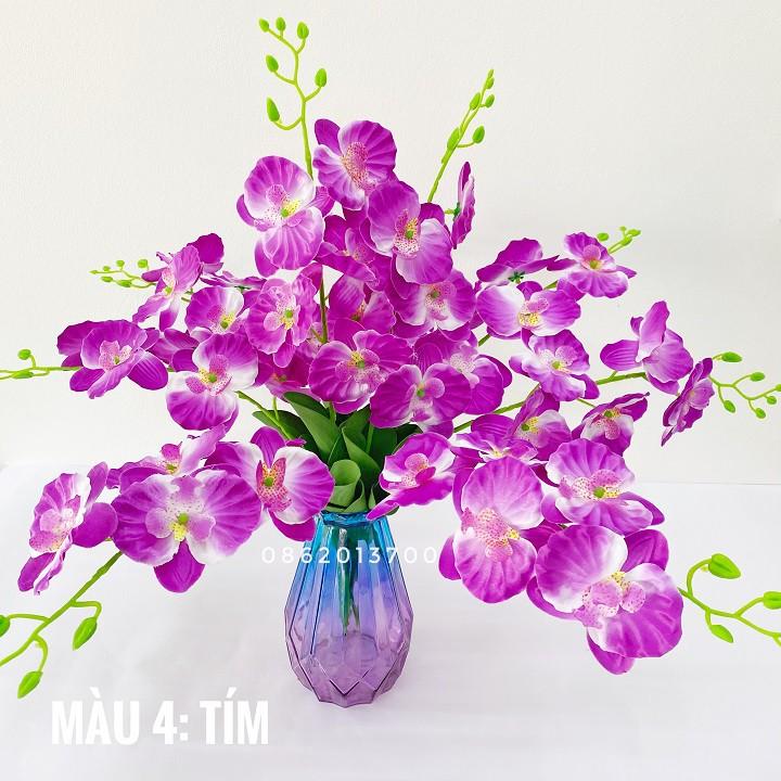 Combo 10 cành Hoa giả - Hoa Lan Hồ Điệp Lucas 60cm trang trí bền, đẹp, sang trọng