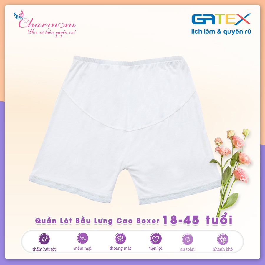 [Đồ lót cho mẹ bầu] Áo Ngực Bầu Và Quần Lót Bầu Lưng Cao Boxer GATEX Cotton Cao Cấp Charm Mum