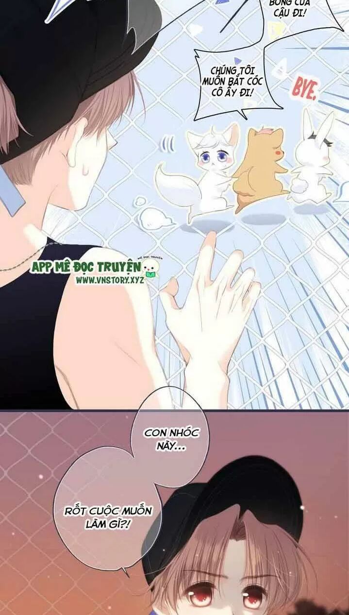 con tim rung động 2 chapter 117.3 33