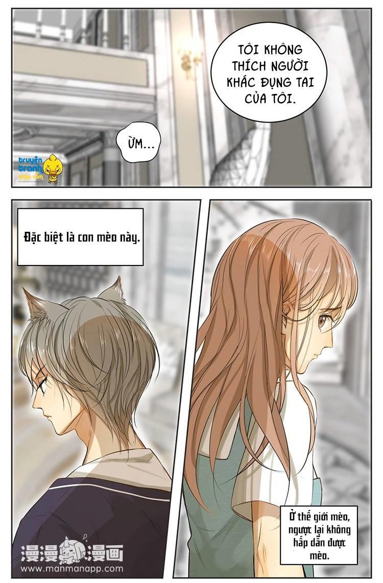 cứu mạng ! loài mèo thống trị thế giới rồi ! chapter 13 9