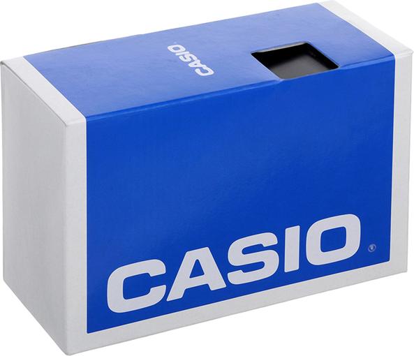 Đồng Hồ Nam Dây Nhựa Casio DW-290-1VS (45mm) - Đen