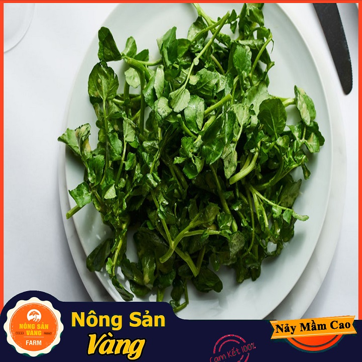 Hạt giống Xà Lách Xoong - Nông Sản Vàng