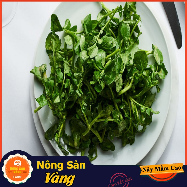 Hạt giống Xà Lách Xoong ( Gói 0,5 Gram ) - Nông Sản Vàng