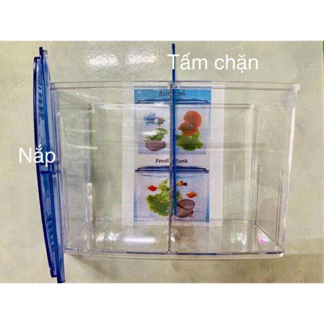 Combo 02 Bể cá betta mini 2 ngăn tháo lắp - Hồ cá betta