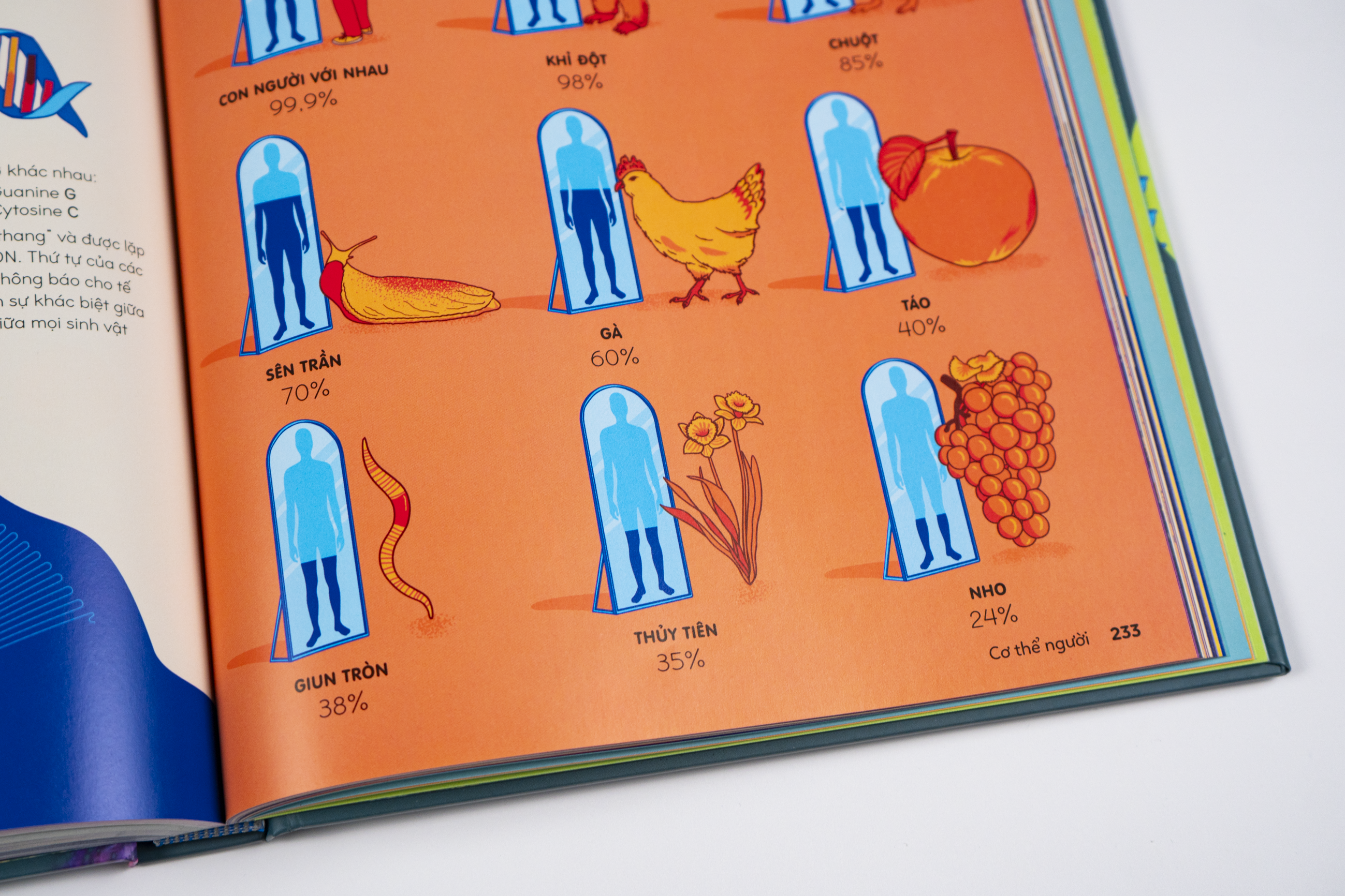 Britannica's Encyclopedia Infographica - Bách khoa thư bằng đồ họa