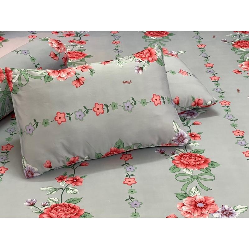 Drap thun hàn quốc