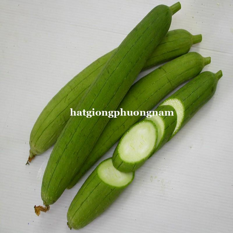 10H - HẠT GIỐNG MƯỚP HƯƠNG
