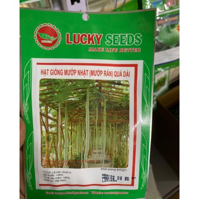 HẠT GIỐNG MƯỚP RẮN