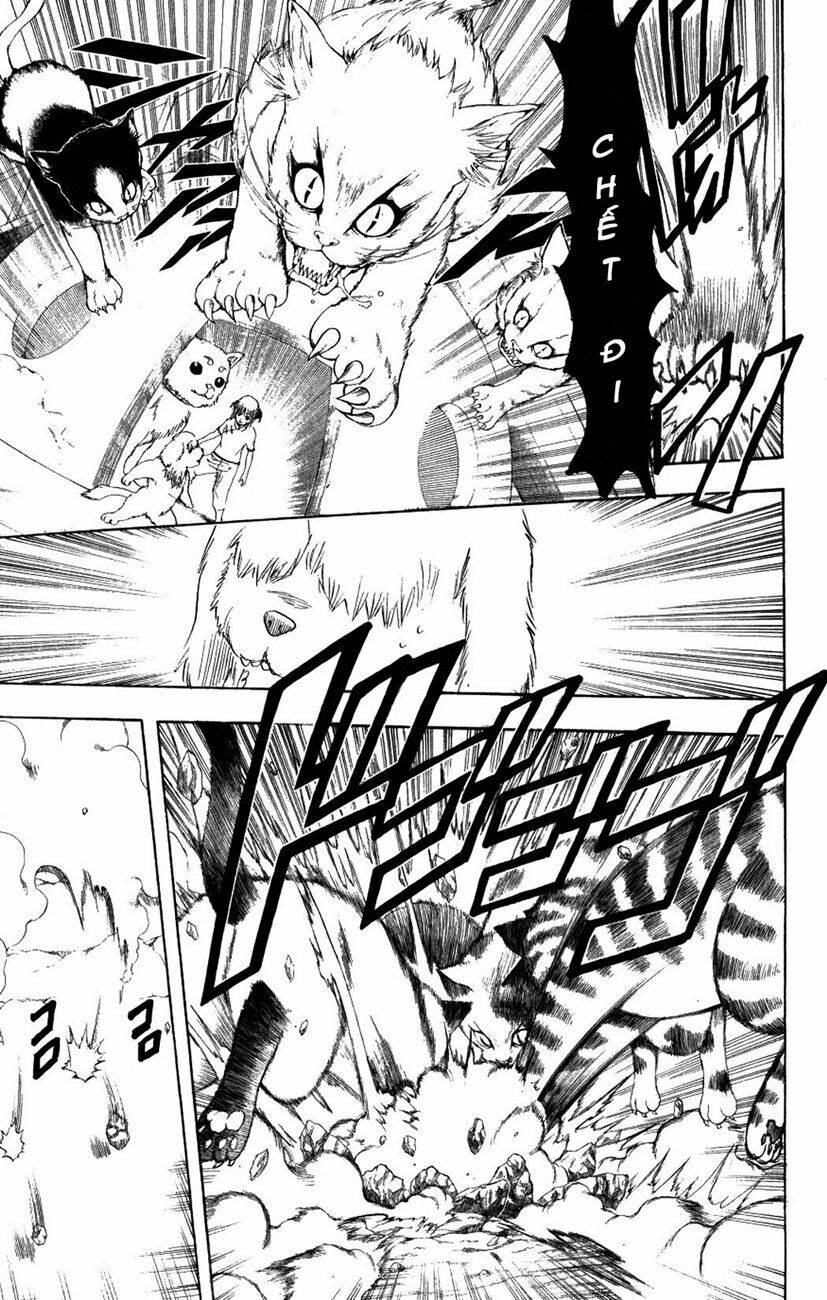 gintama - linh hồn bạc chapter 209 5