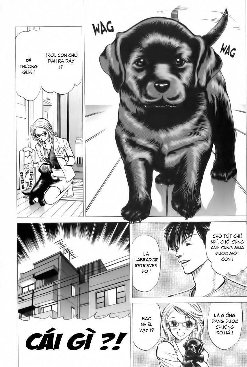 cô nàng yêu chó chapter 31 15