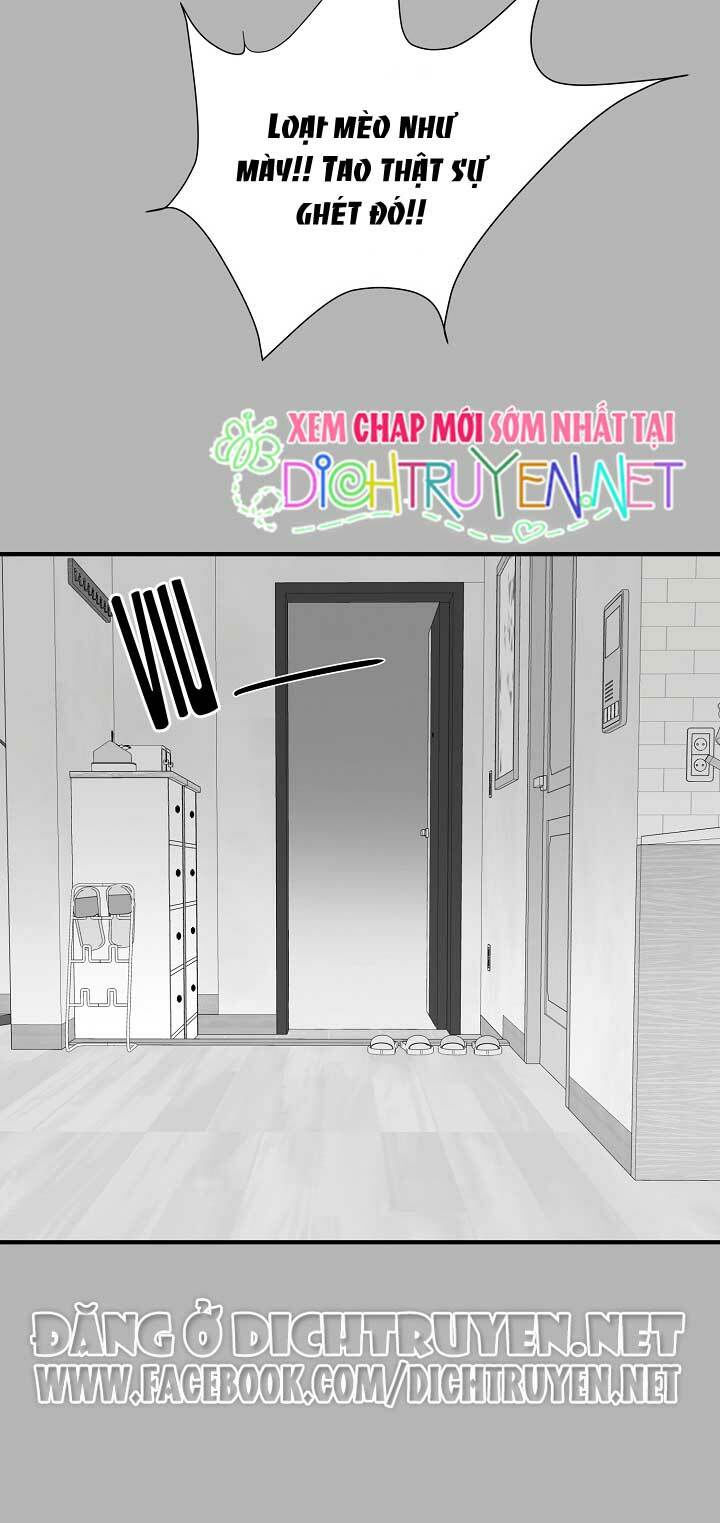 cuộc sống kỳ thú chapter 4 7