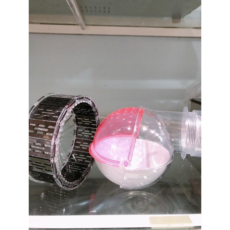 Combo nhà tắm hamster và wheel