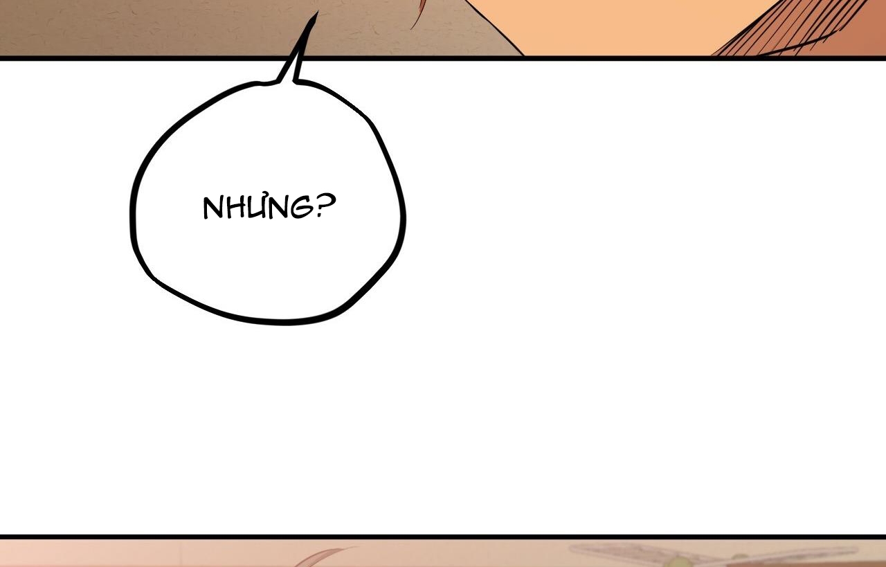 đàn thỏ của habibi chapter 26 143