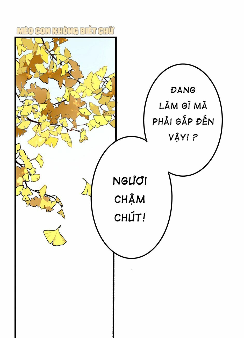 bốc toán tử chapter 2 12