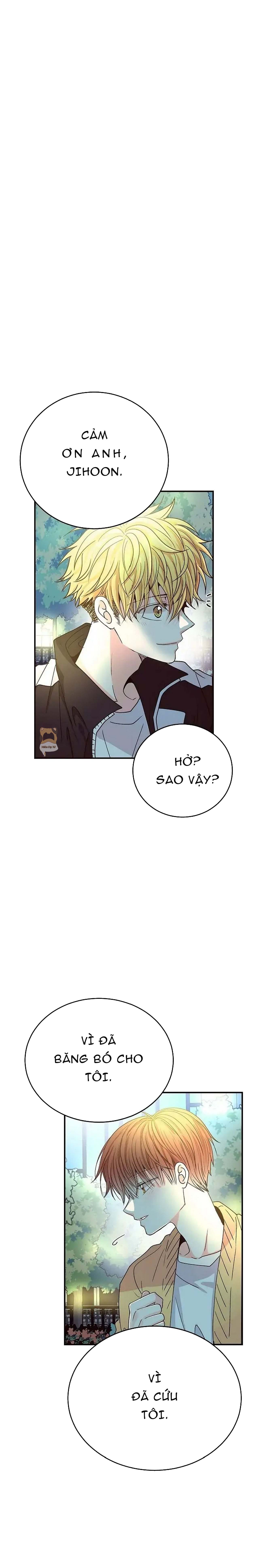 mối quan hệ phù hợp chapter 6 12