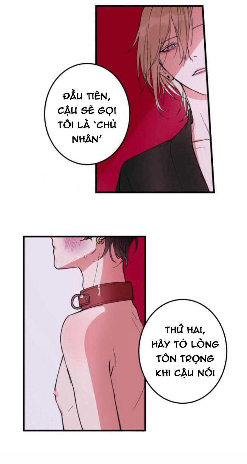 xu hướng tình dục bạn học chapter 4 7