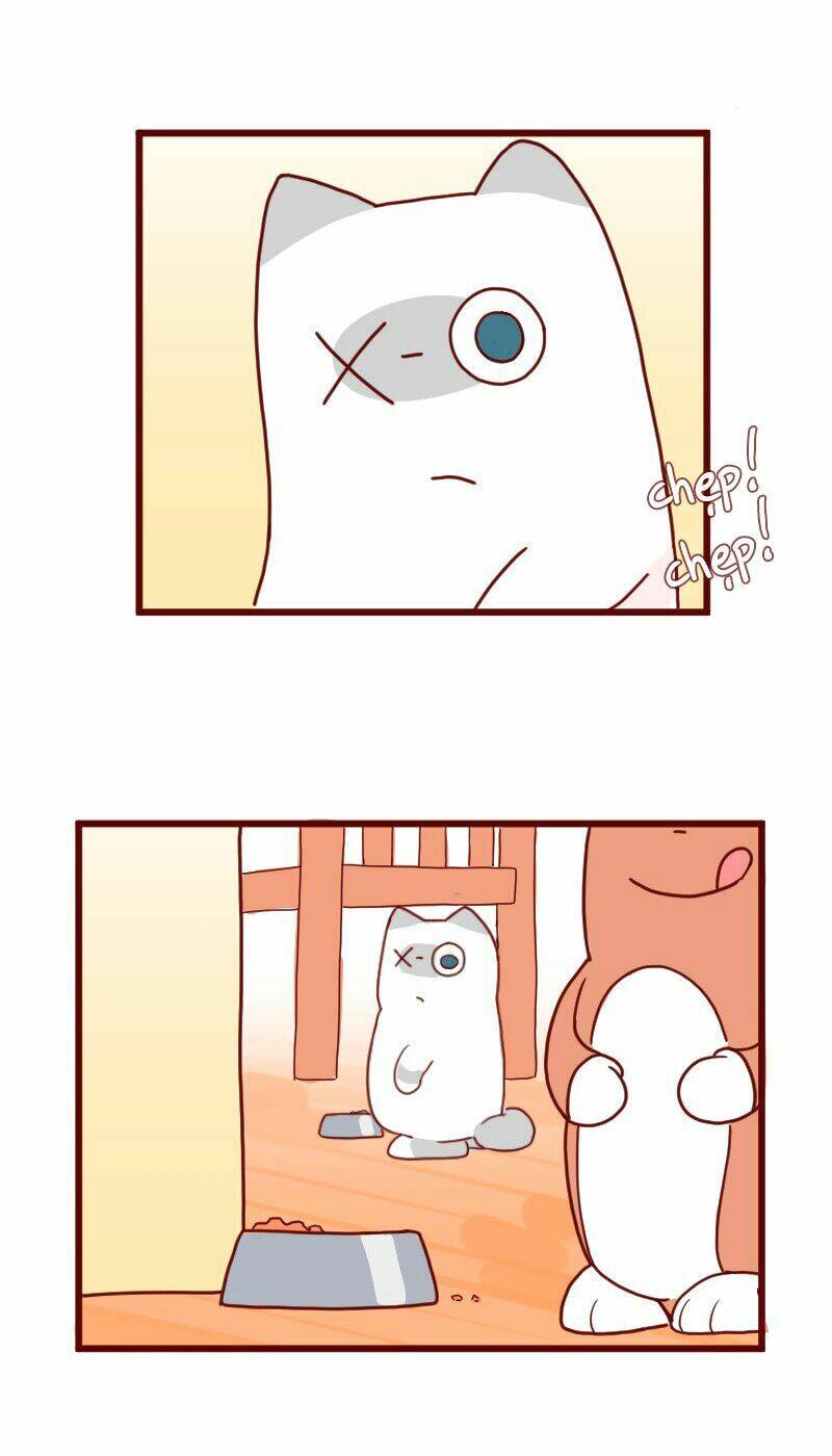 saphie: chú mèo một mắt chapter 8 10